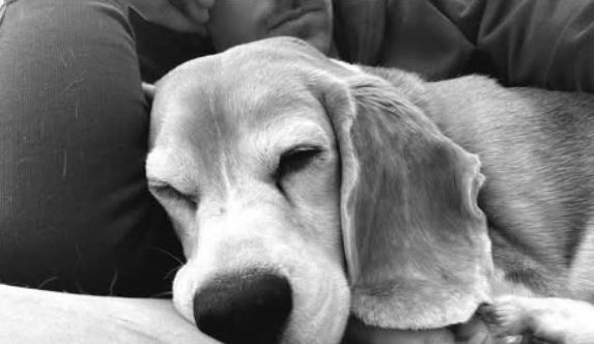 Ramsey reaparece con un desgarrador mensaje tras huir de México: Este dolor nos seguirá atormentando