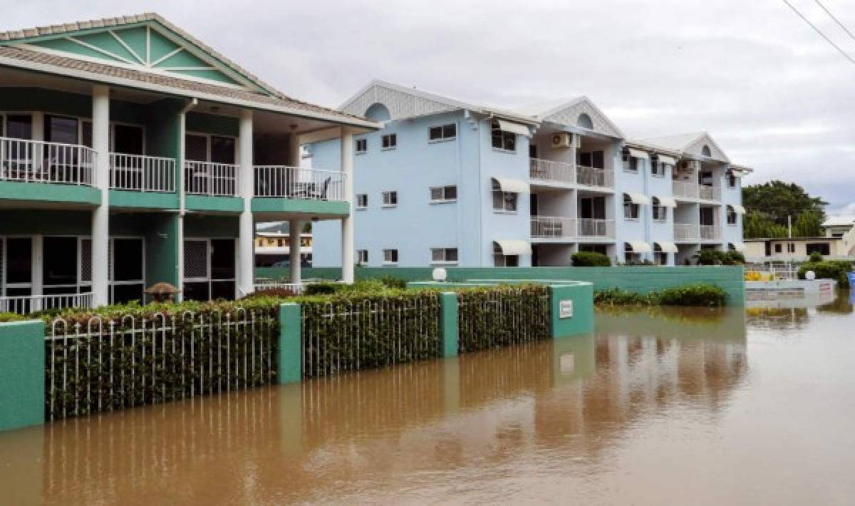 Cocodrilos en las calles: Las imágenes de las devastadoras inundaciones en Australia