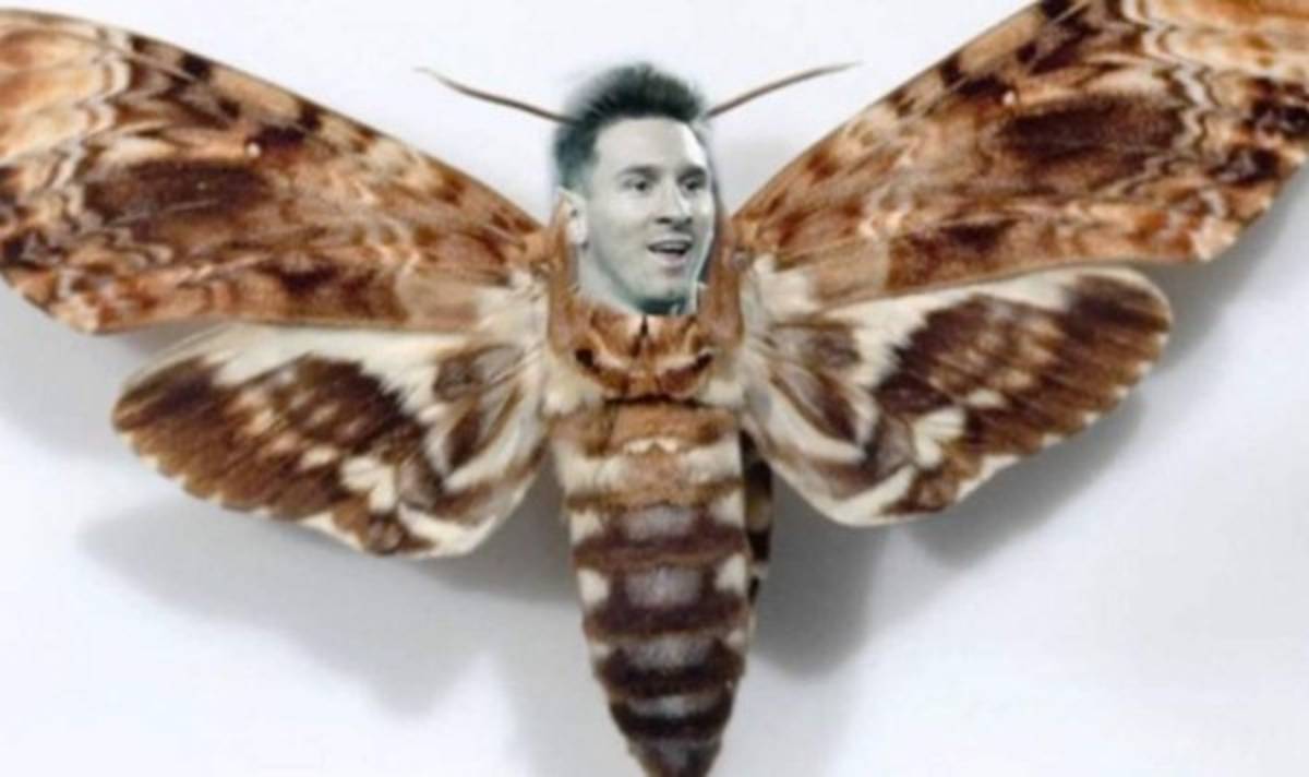 ¡Qué crueles! Pese a su triplete, Cristiano Ronaldo recibe bulllying monumental con memes