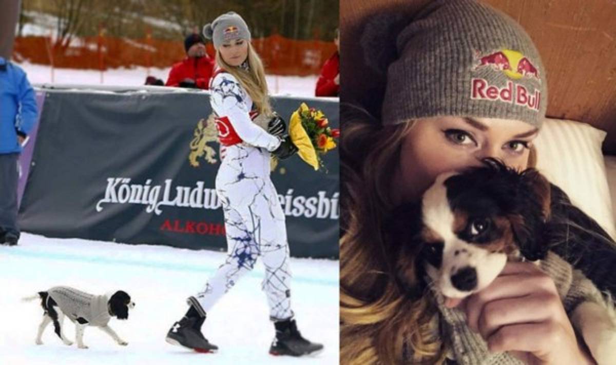 Las 15 mascotas de grandes deportistas que debes conocer