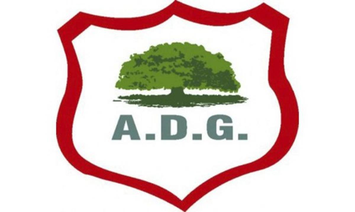 Los escudos más curiosos del fútbol centroamericano