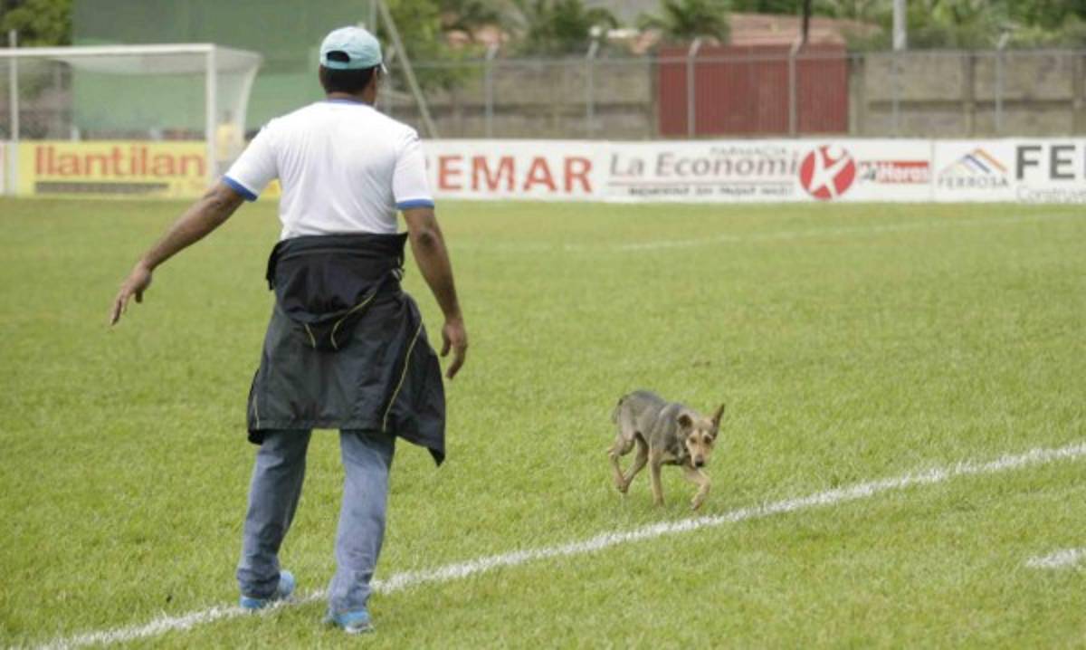 Curiosidades de la primera jornada de la Liga Nacional de Honduras