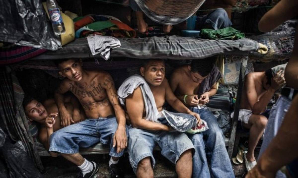 Miembros de diferentes pandillas compartirán celdas en El Salvador
