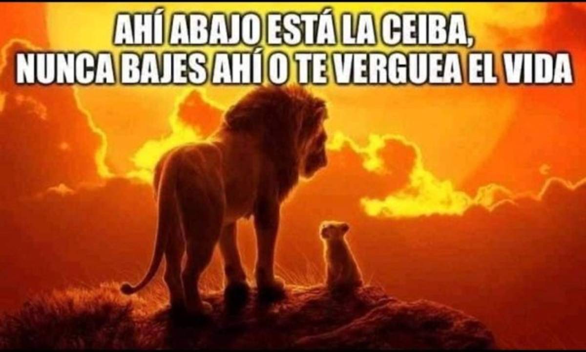 El super dato MisterChip con los Cocoteros en la cima: Los imperdibles memes del liderato del Vida