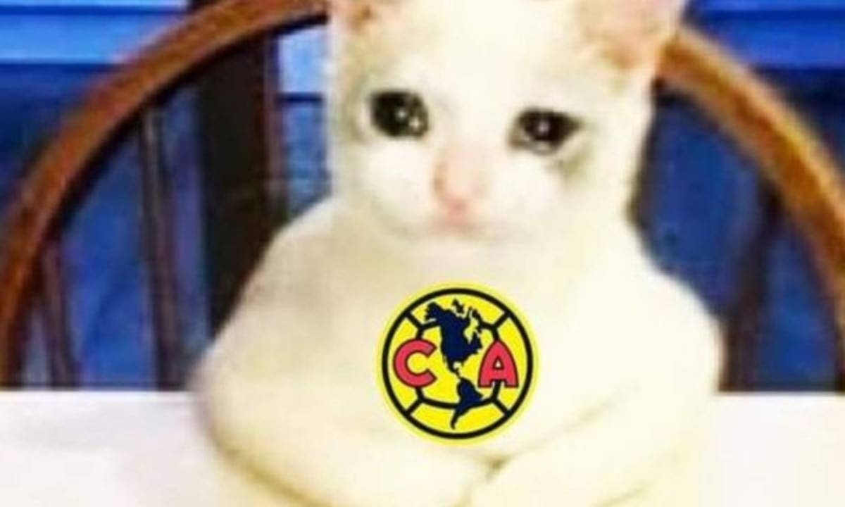 Los memes revientan al América, Piojo Herrera y Memo Ochoa por perder ante el LAFC de Vela