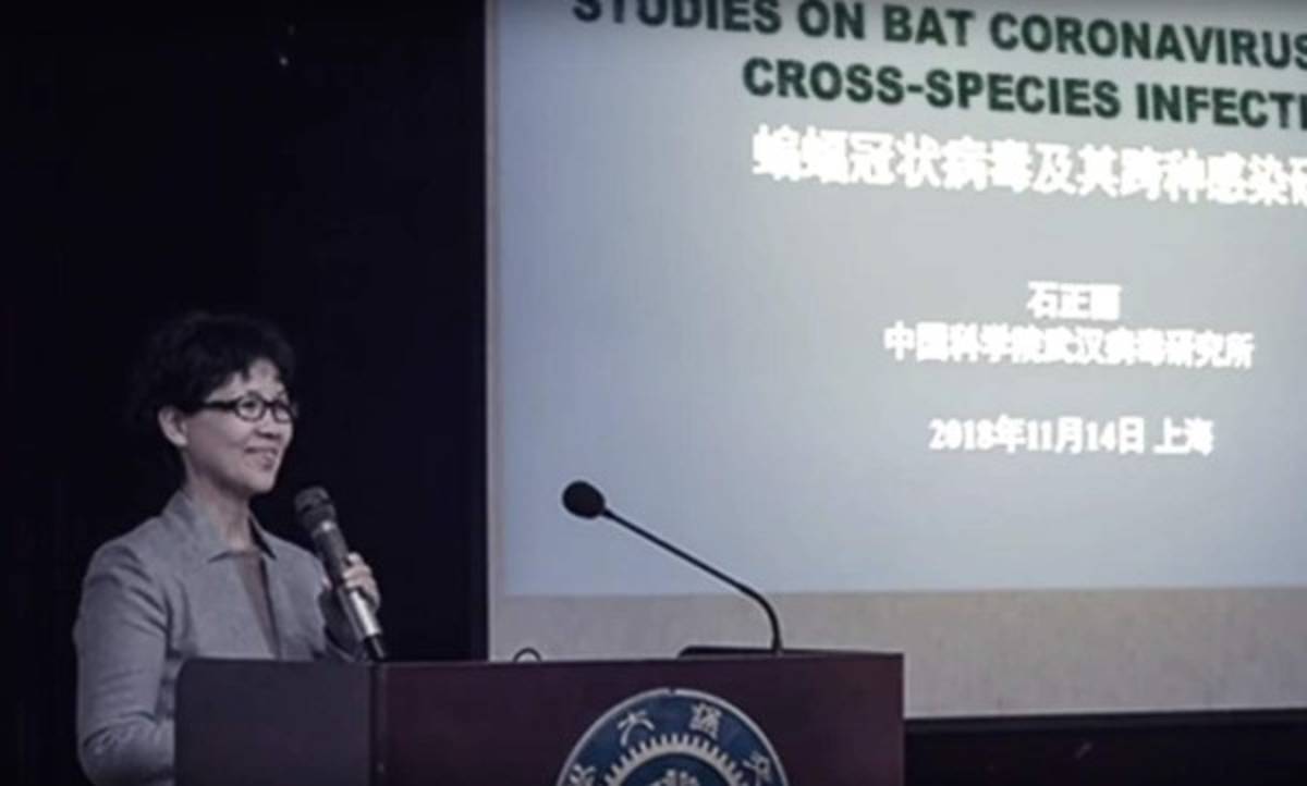 Como película de terror: El laboratorio que dejó escapar el coronavirus ¿cómo arma biológica?