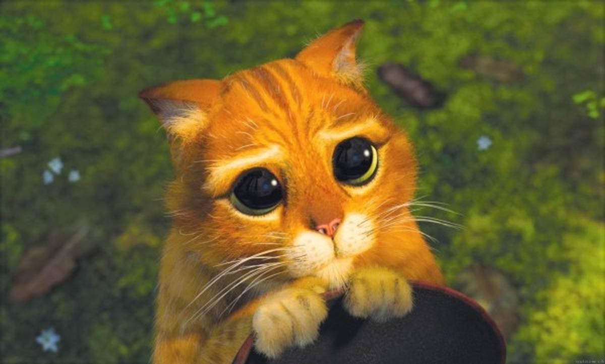 ¡Terribles! Los memes aniquilan a Olimpia, pero Motagua tampoco se salva