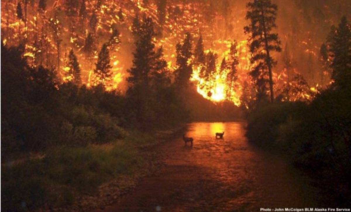 Las fotografías engañosas sobre los incendios que arrasan la Amazonia de Brasil