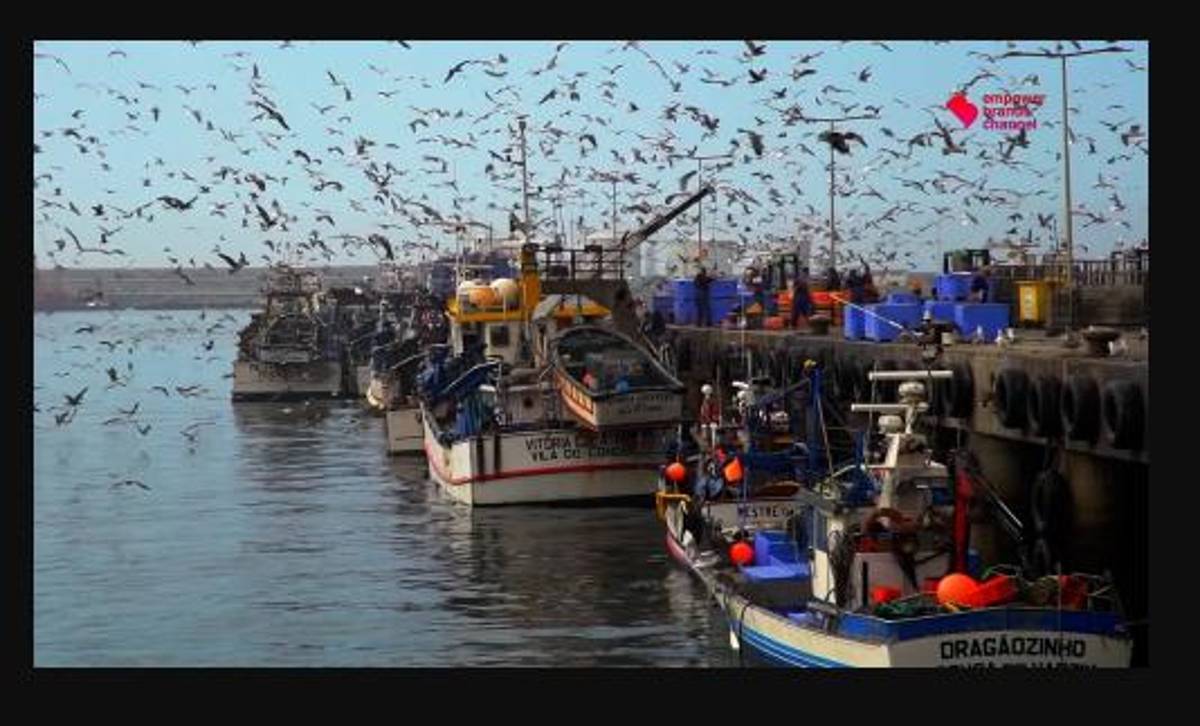 De jugar en el Real Madrid y ganar la Champions a trabajar como pescador y jefe de una flota de barcos: “Mi vida es el mar”