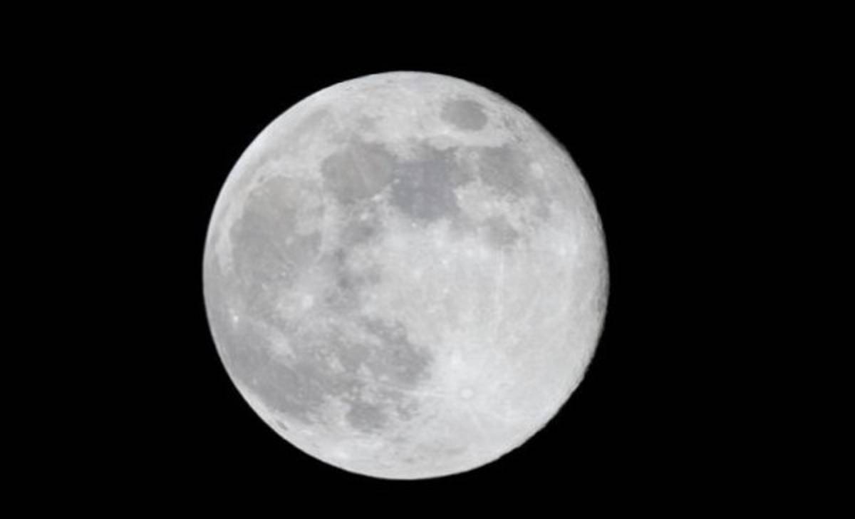 La Nasa cultivará berros y albahaca en un vivero en la Luna