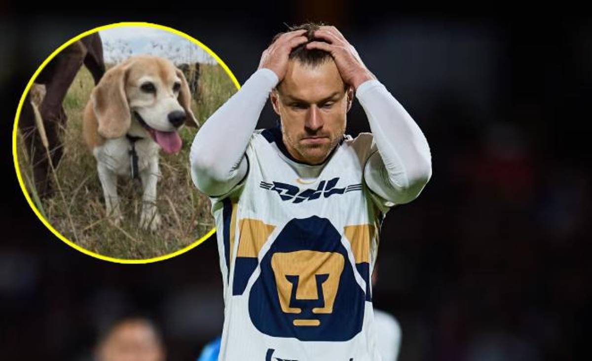 Aaron Ramsey rompe con Pumas y huyó de México: se confirmó el motivo de su drástica decisión