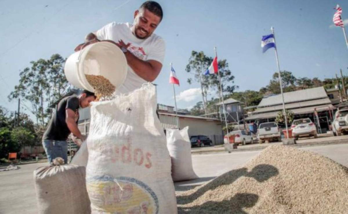 ¡Se suma uno más! Futbolistas y técnicos extranjeros que montaron su propio negocio en Honduras