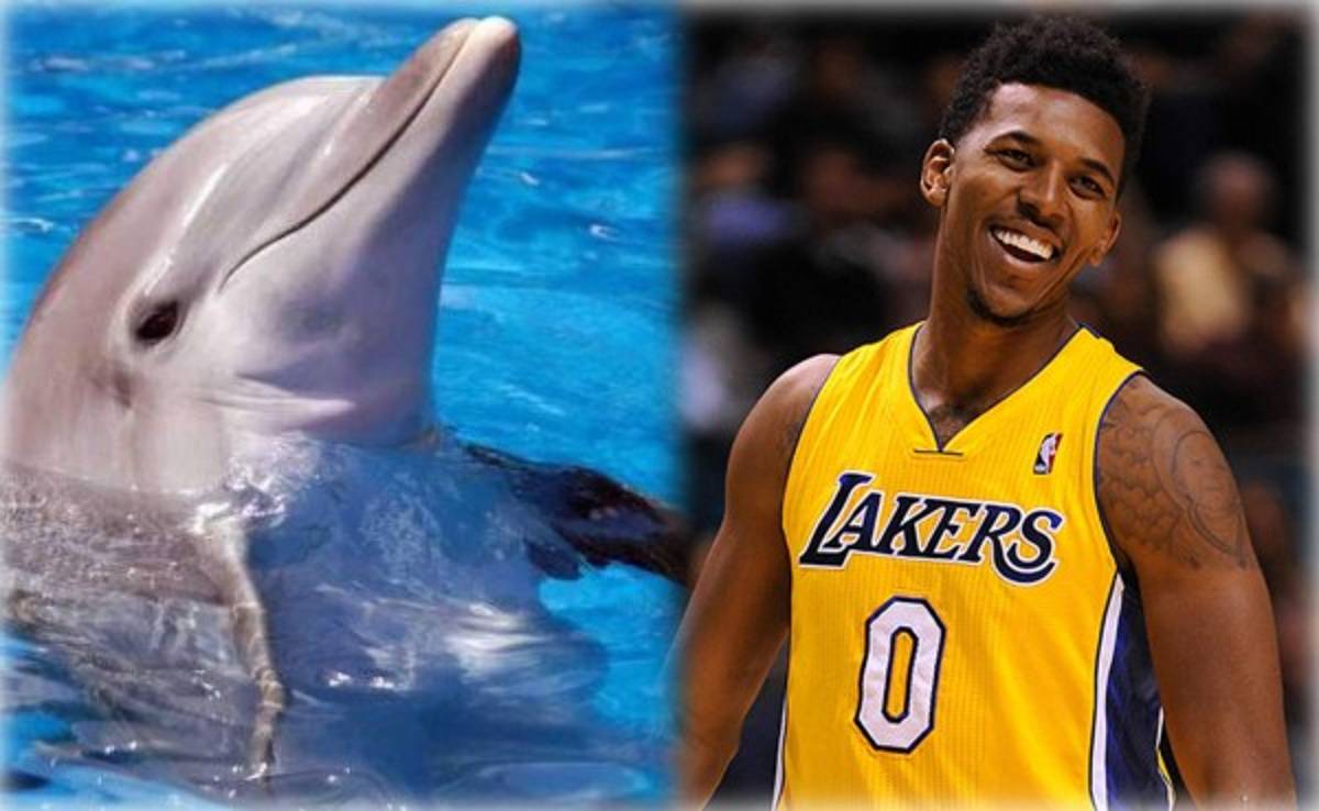 Jugador de los Lakers revela que un delfín lo quiso matar