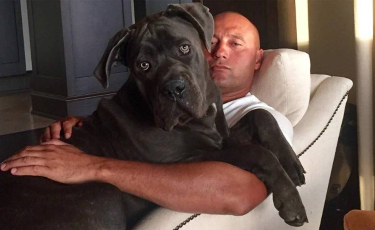 El enorme perro de Derek Jeter que amenaza a sus nuevos vecinos