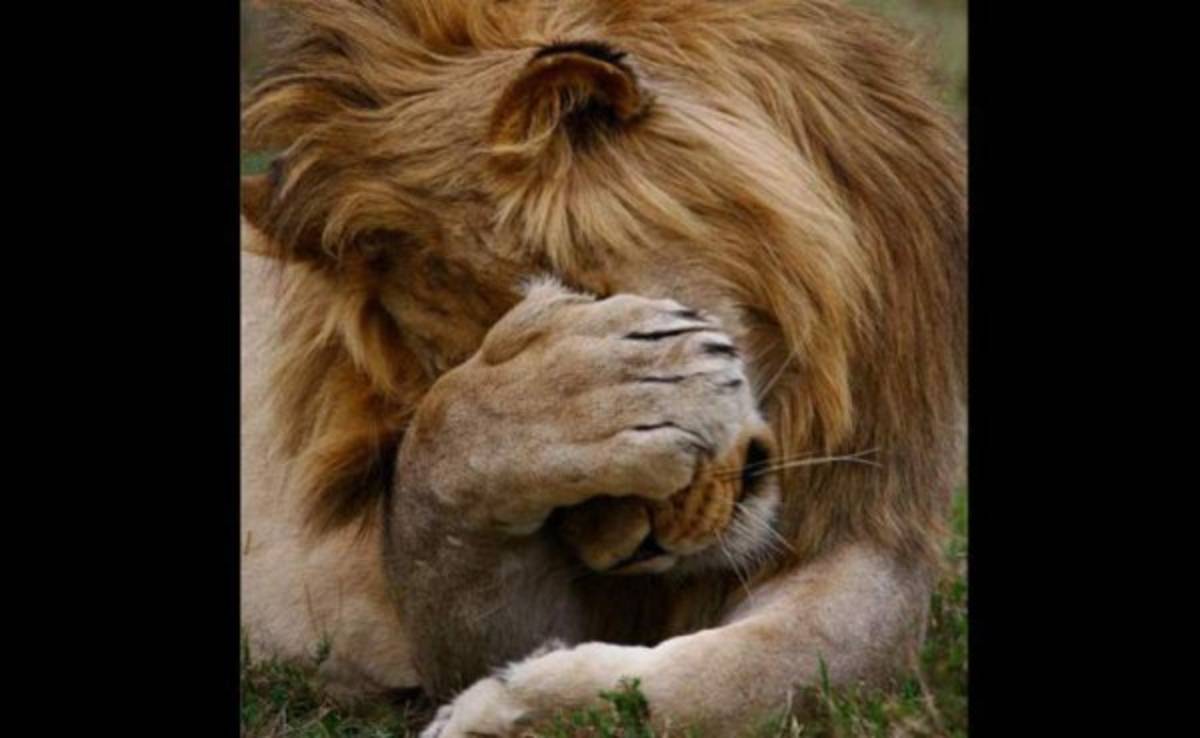 Lluvia de crueles memes: Así se burlan de Olimpia tras perder la final de ida con MOtagua