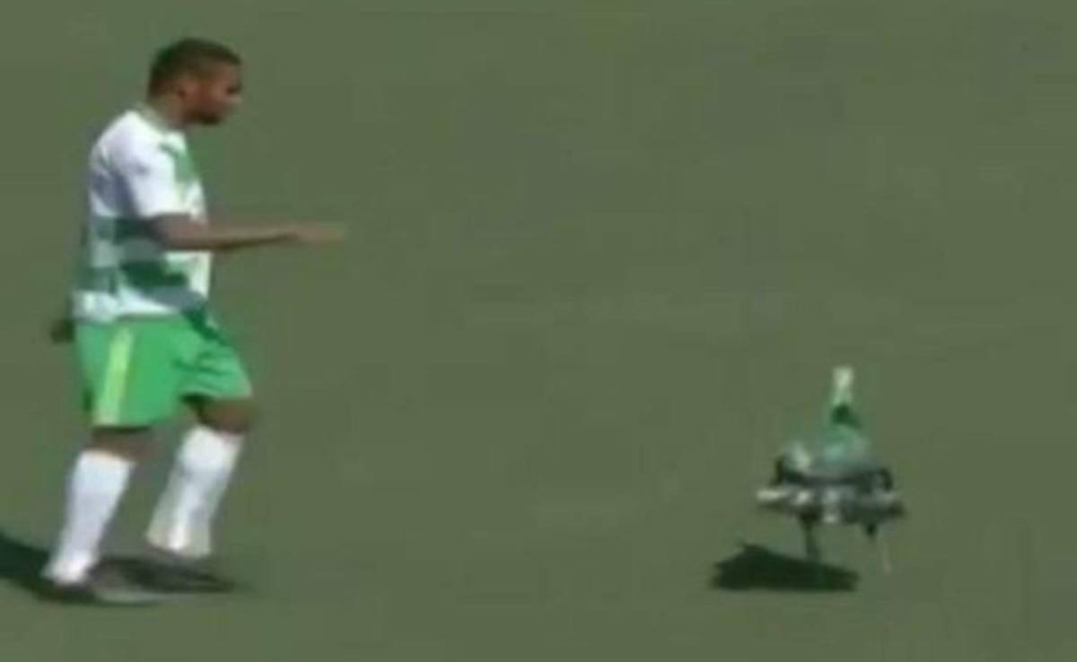 Pavo interrumpe partido y se escapa de los jugadores