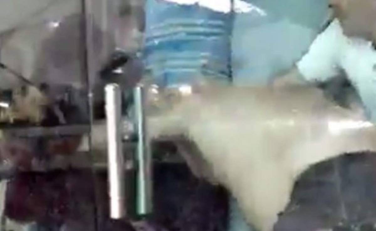 Jugadores y dirigentes de Gimnasia y Esgrima La Plata se van a los golpes