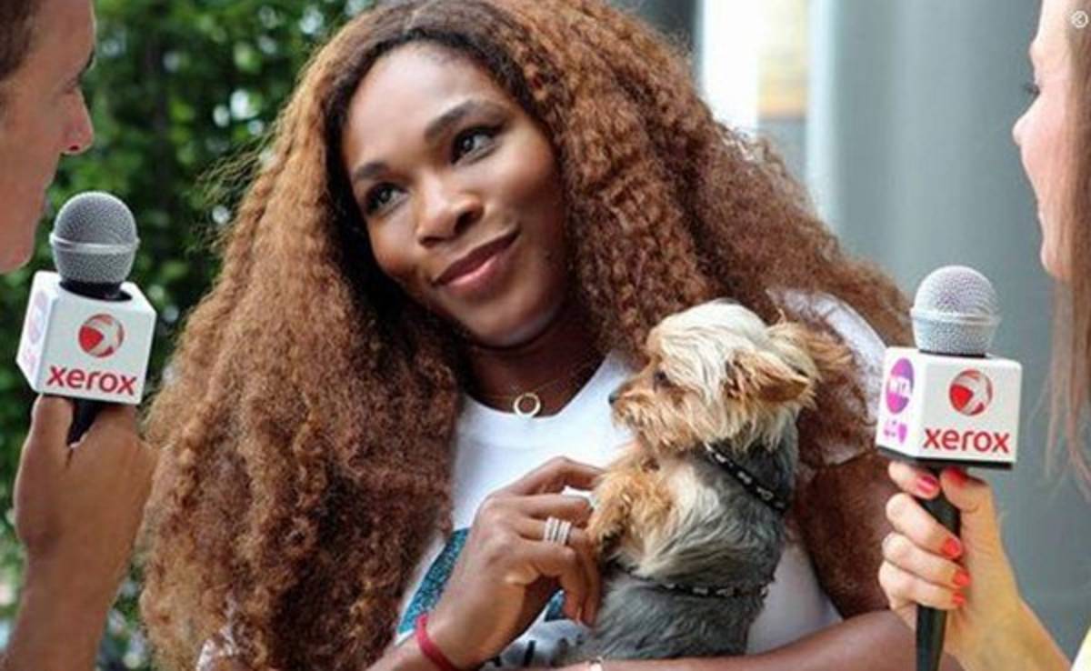 VIDEO: Serena Williams ingiere comida para perros y termina con diarrea