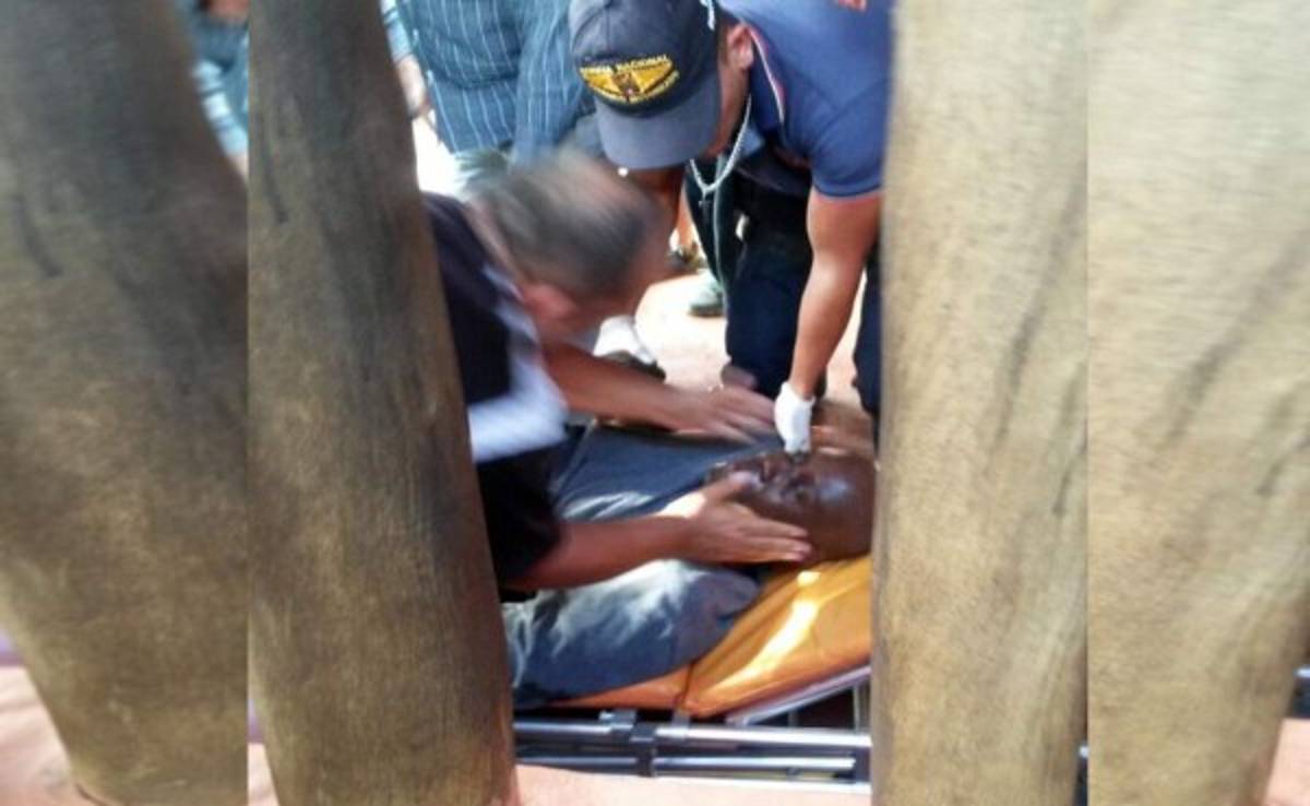 Ex jugador de NBA y Real Madrid es herido de bala durante asalto