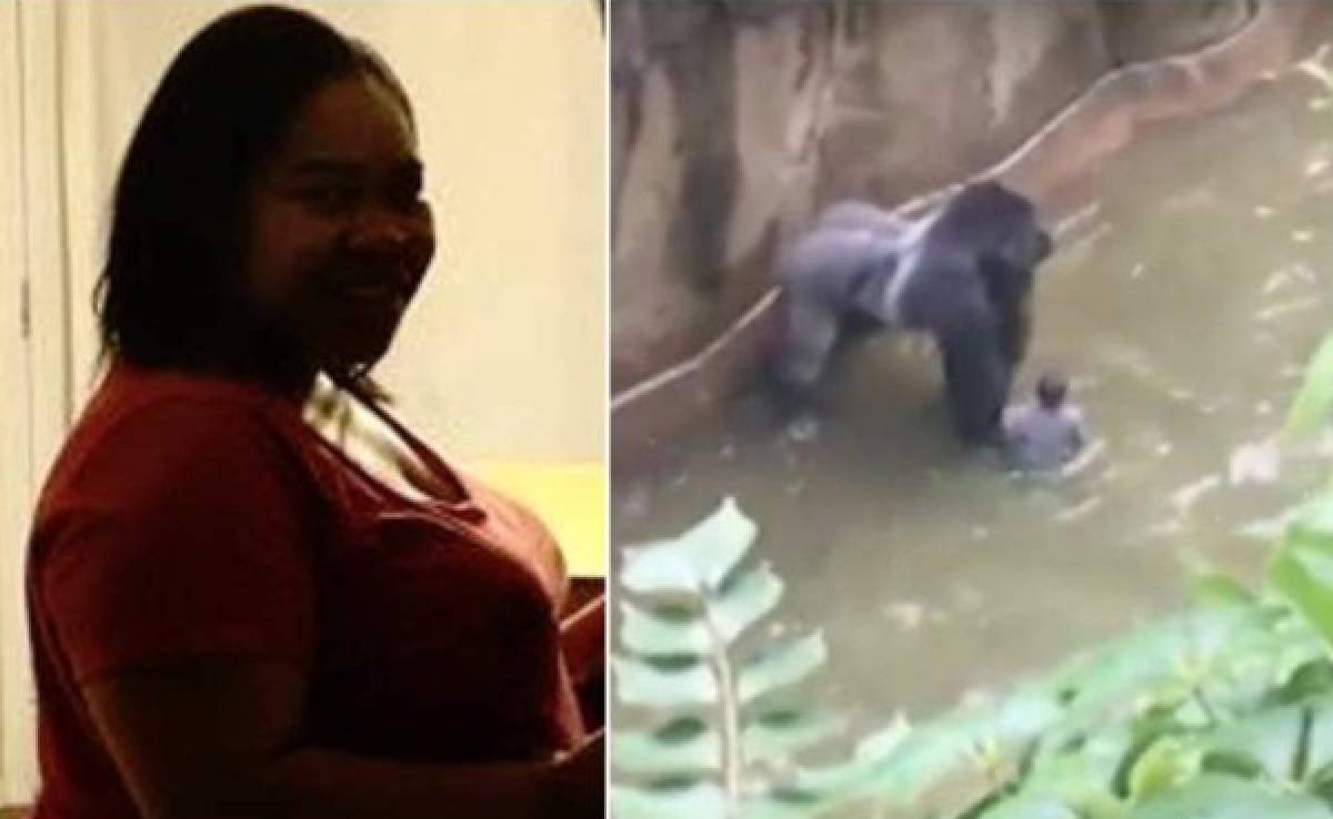 Facebook arremete y culpa a padres por asesinato de un gorila