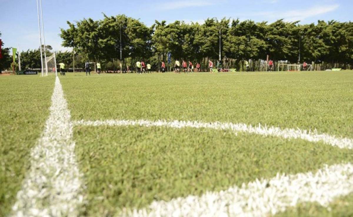 Lo que necesitas para obtener una beca deportiva en Estados Unidos