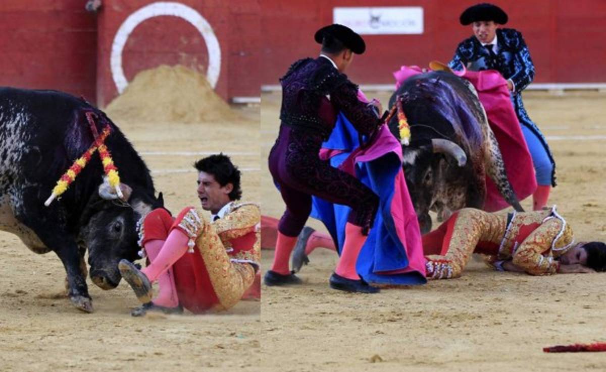 VIDEO: Torero recibe brutal cornada y muere al instante
