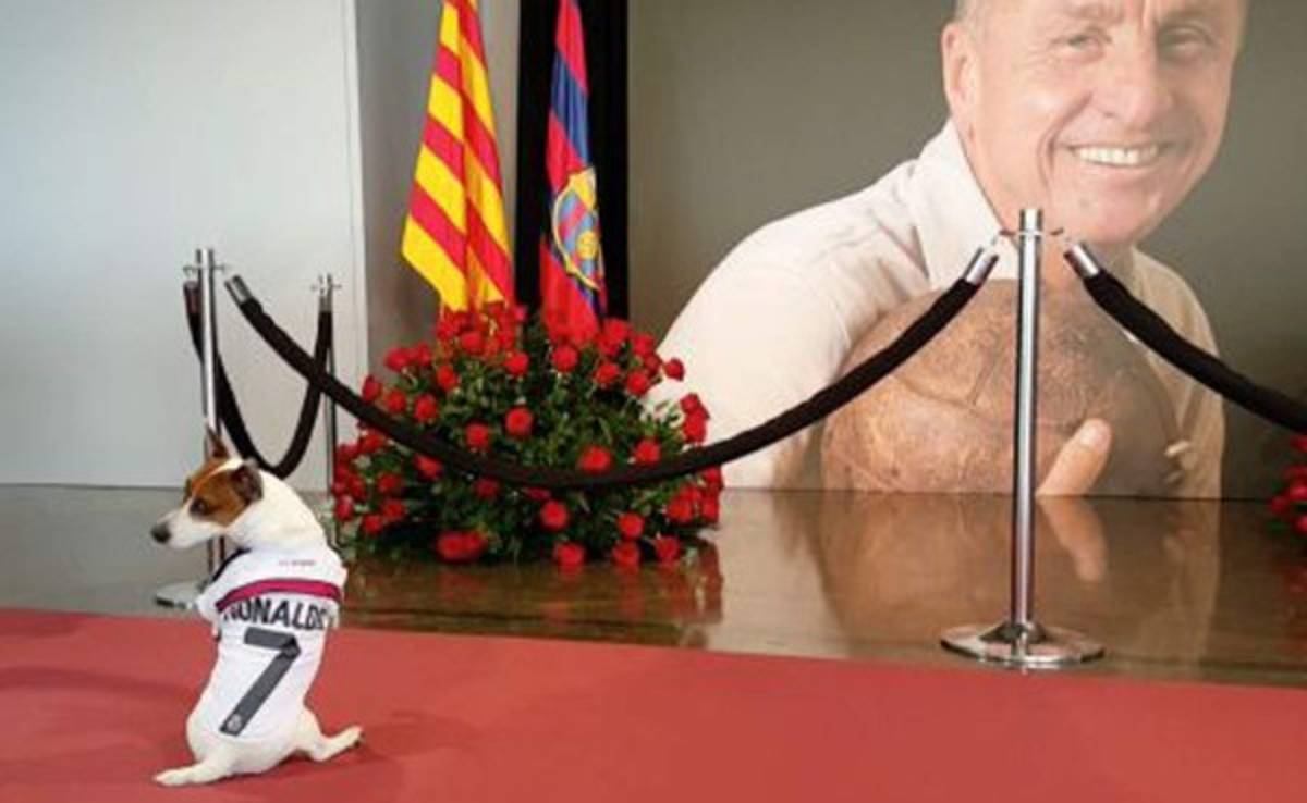 Un perro con la camiseta de Cristiano Ronaldo le rinde tributo a Johan Cruyff
