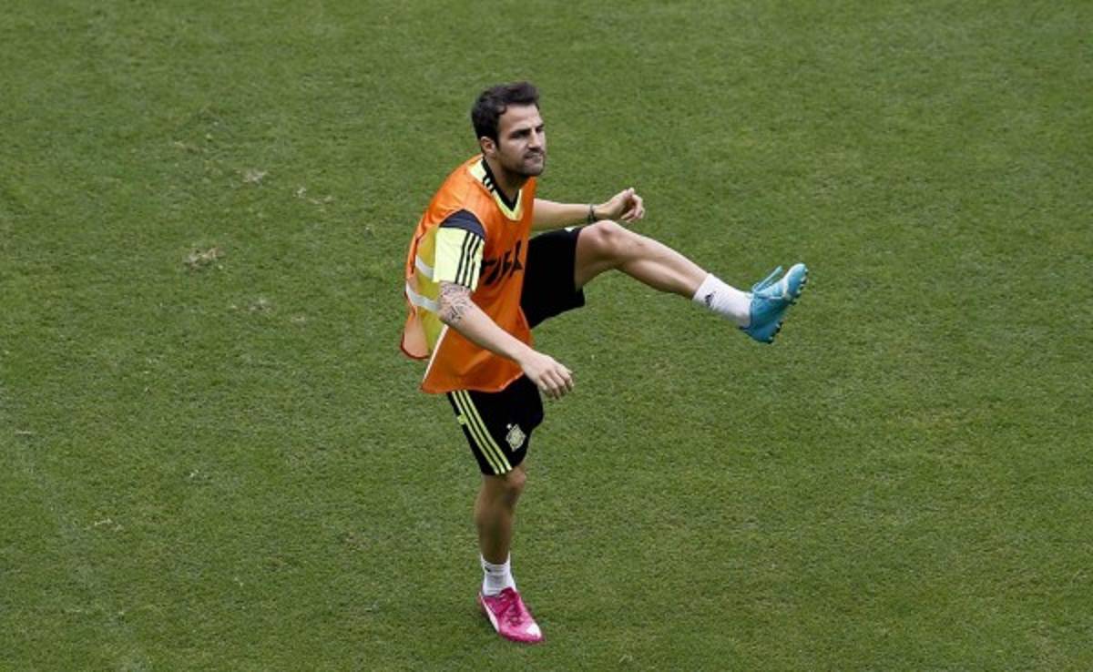 Vicente Del Bosque recriminó actitud a Cesc Fábregas