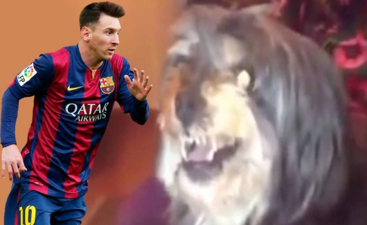 VIDEO: Mirá al perro que se enoja cuando le mencionan el nombre de Messi