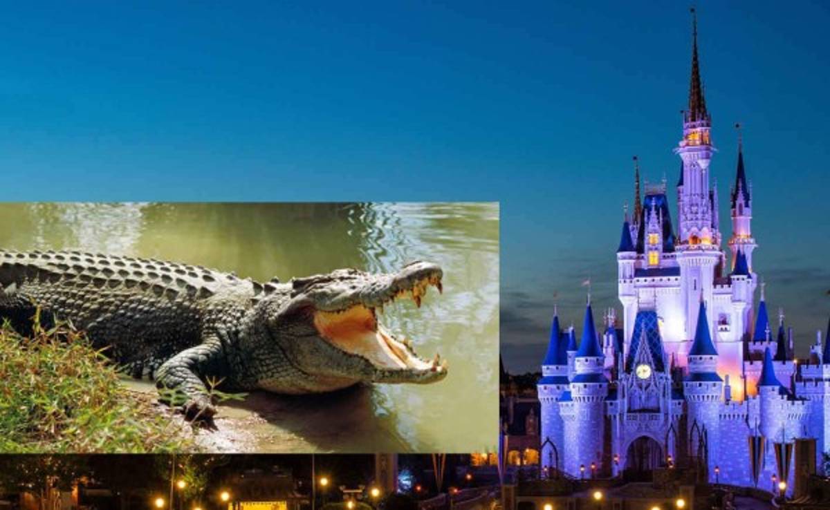 Resumen de las noticias más importantes del miércoles