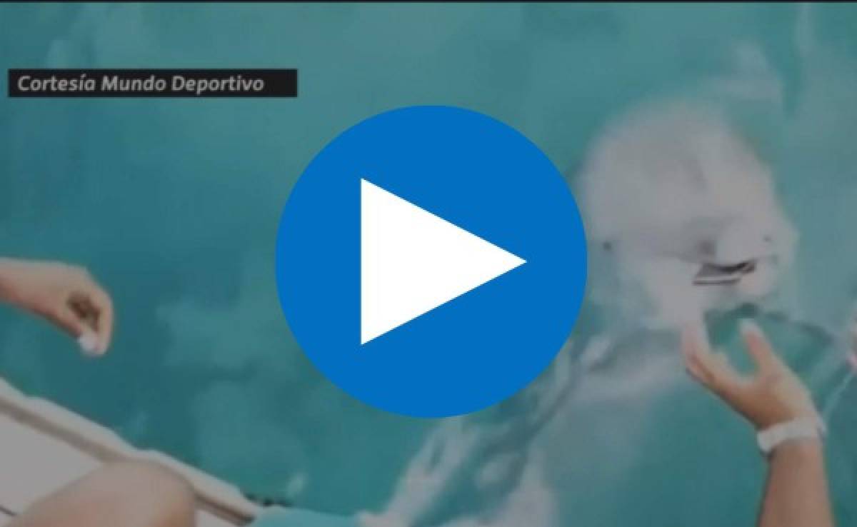 VIDEO: Un delfín recupera del agua el celular de una cheerleader del Miami Heat
