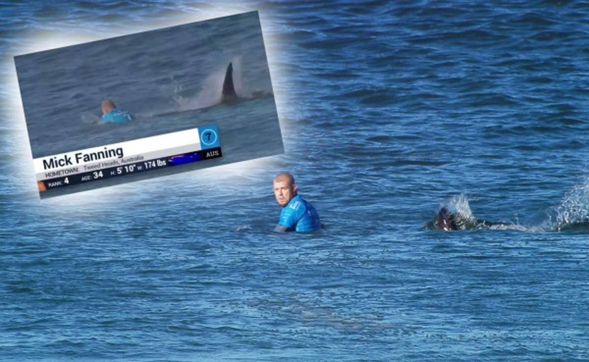 VIDEO: Sorprendente ataque de tiburón a surfista