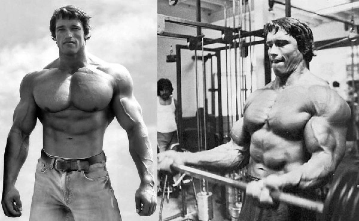 Arnold Schwarzenegger lidera a los 6 fisicoculturistas más extremos de la historia