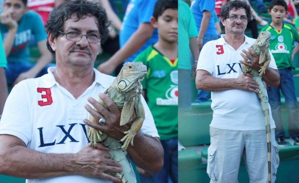 'Pololo', la iguana que se robó el show en el Marathón-Honduras Progreso