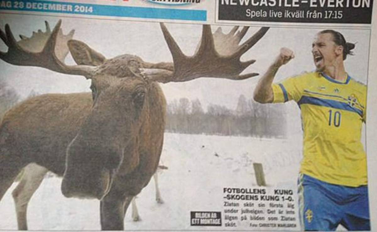 Ibrahimovic caza alce de 500 kilos y es blanco de críticas en Suecia