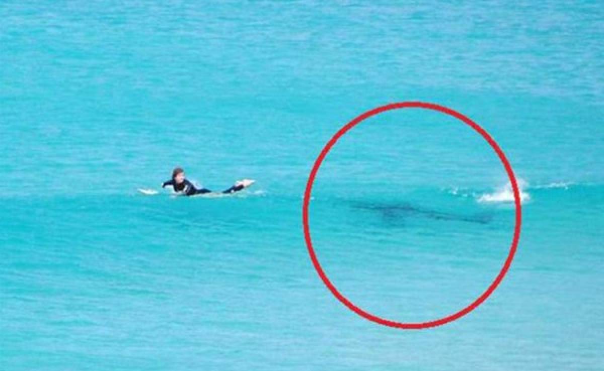 Tiburones obligan a suspender campeonato de surf en Ausralia