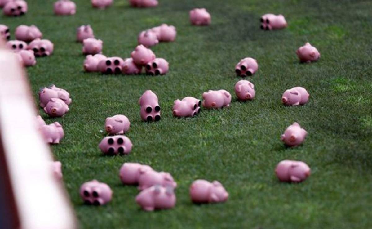 Curiosa protesta: Aficionados se unen y paralizan un partido para lanzar tres mil cerdos de juguete