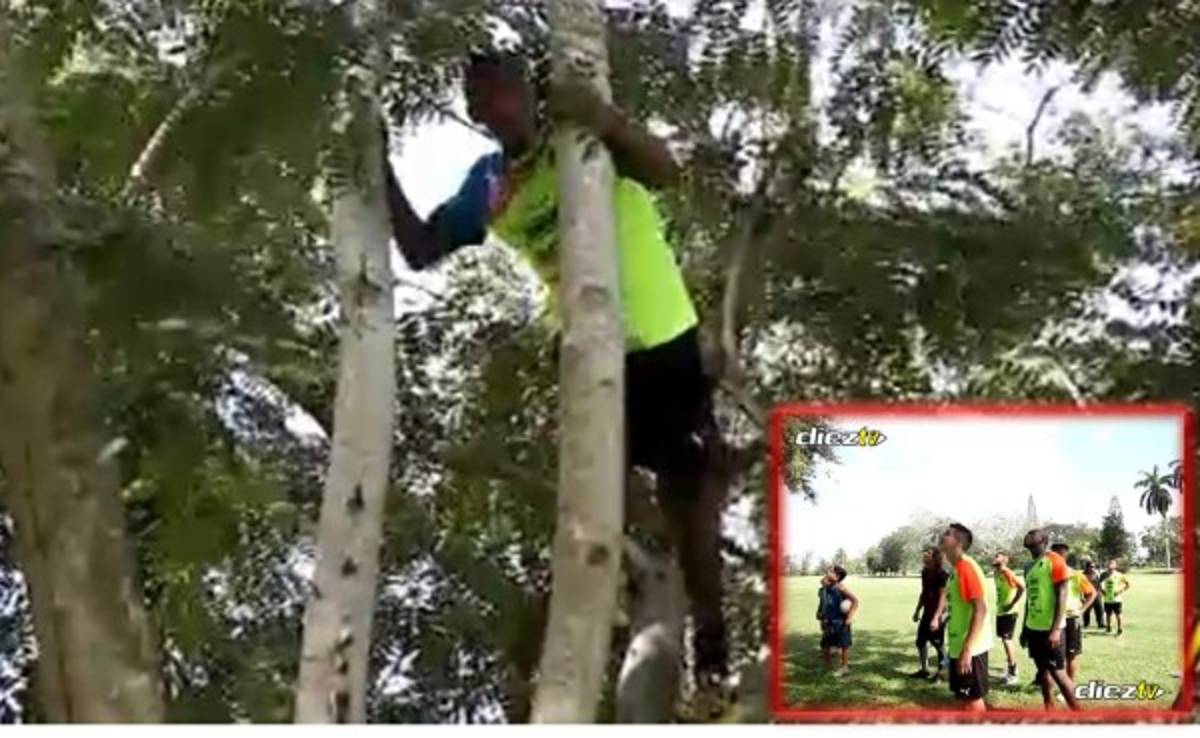 VIDEO: La iguana que burló a Wilfredo Barahona en La Lima