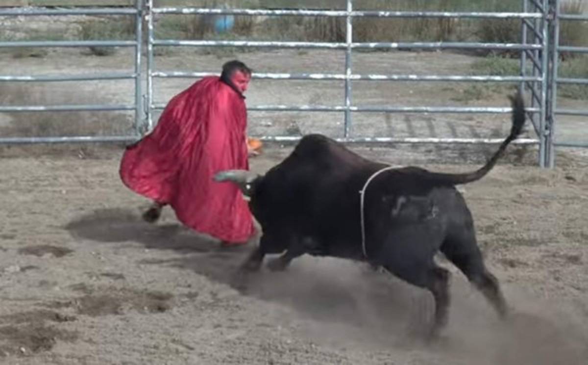 Youtuber termina con mandíbula rota tras salir a torear