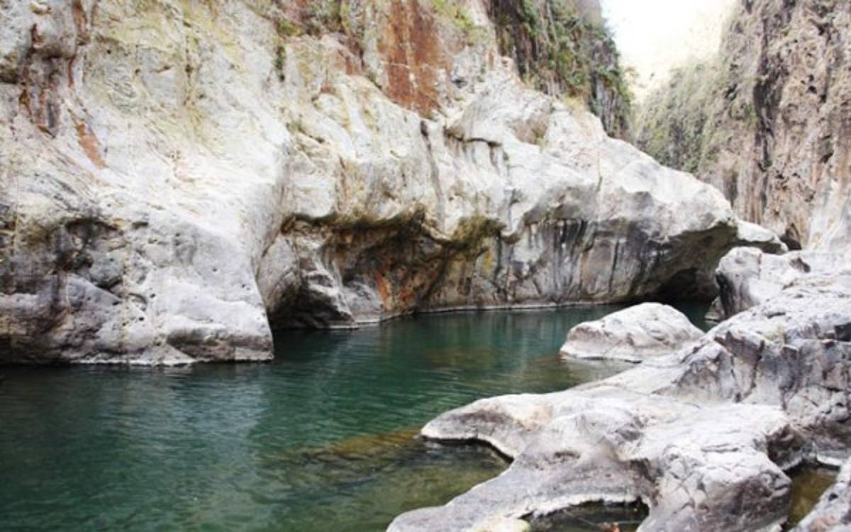 Paraíso natural: Centroamérica y su otro lado en la Copa Oro