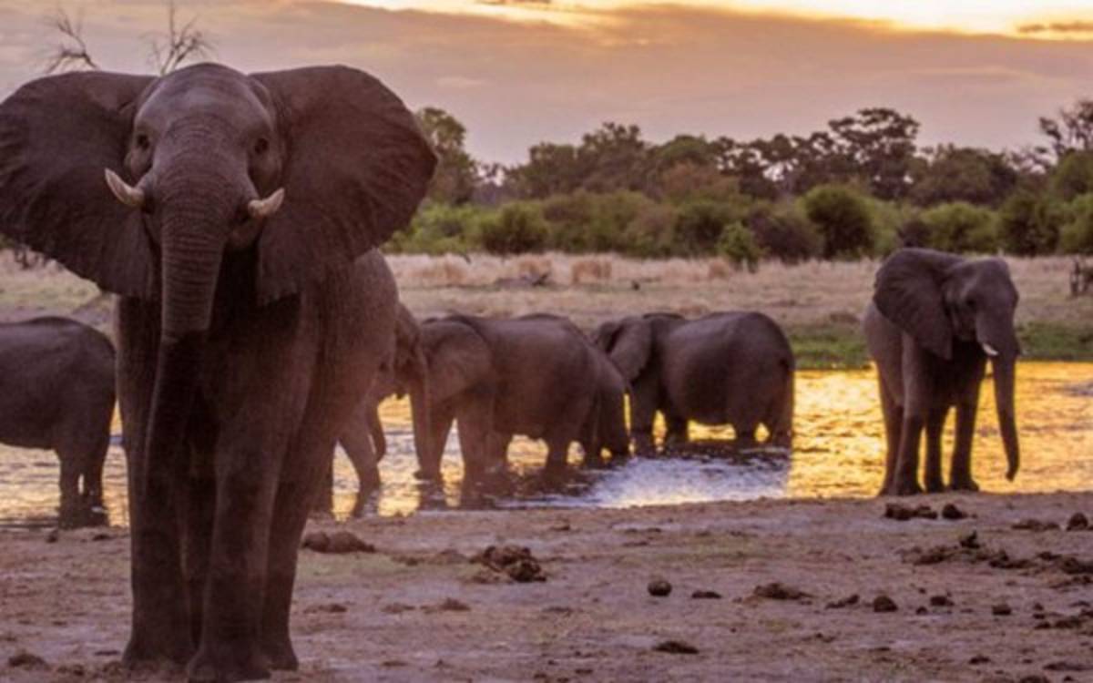 La vida de lujos de Dan Friedkin, el magnate estadounidense que comprará al AS Roma de Italia