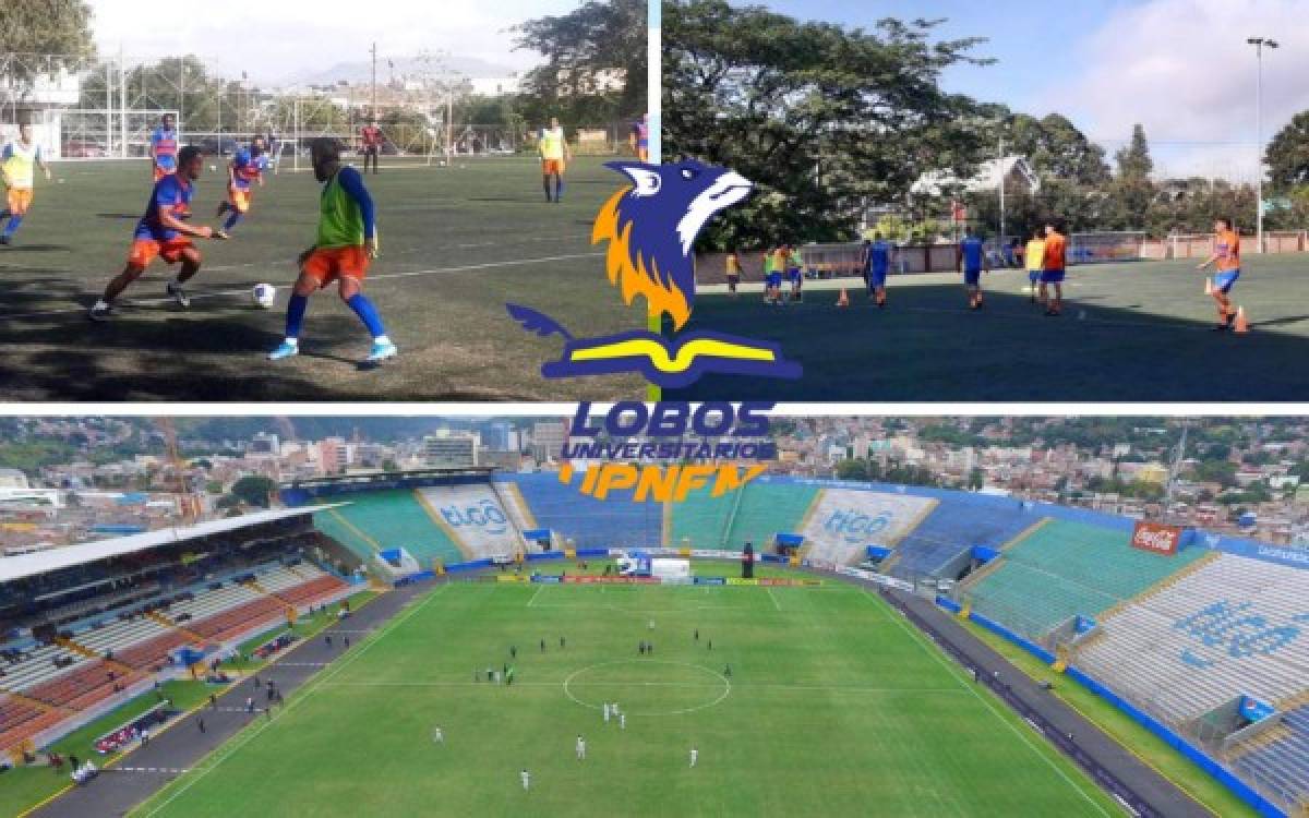 Los Lobos de la UPNFM dejan Choluteca como sede y jugarán en el el estadio Nacional
