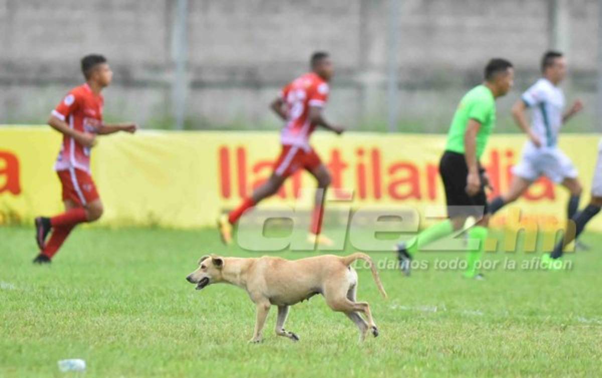 NO VISTE EN TV: Un 'espontáneo' en Tocoa y el noble gesto de Costly