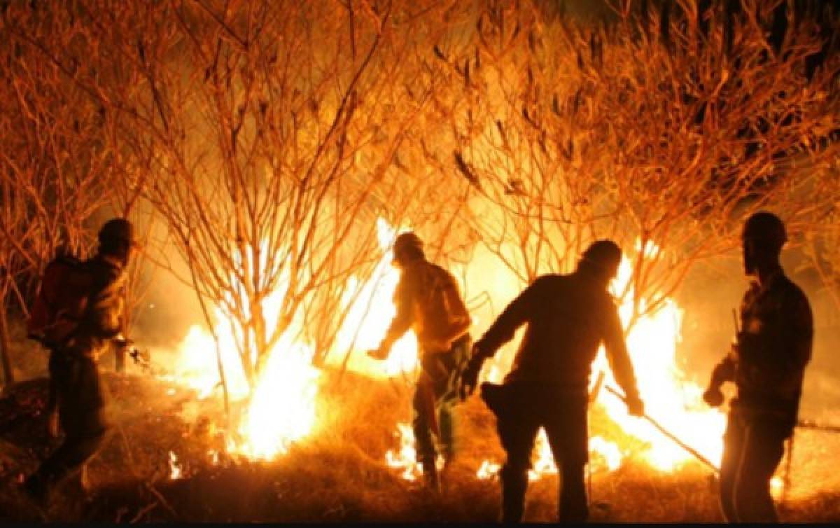 Las imágenes del terrible incendio que devora el Amazonas, el pulmón del mundo