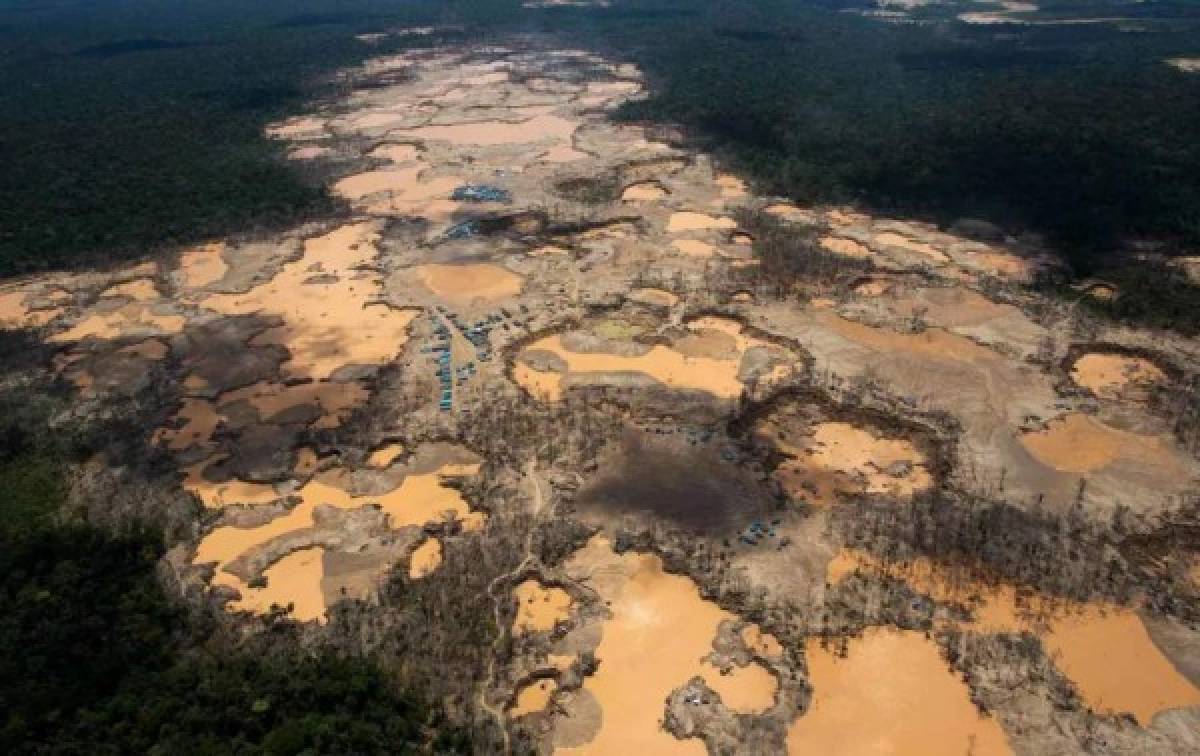 'Ríos de Oro': Las imágenes de la NASA revelan la destrucción de la minería ilegal en la Amazonia