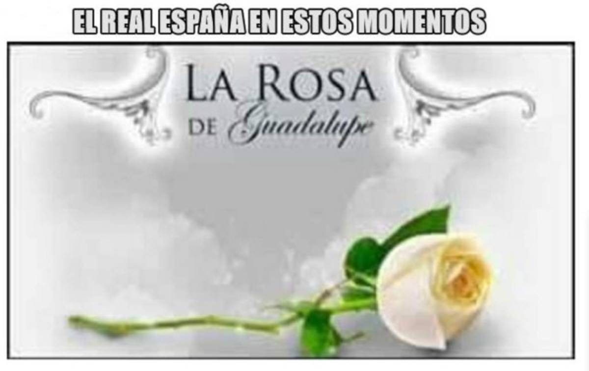 ¡Los memes se burlan del Real España luego de perder la Copa ante Platense!