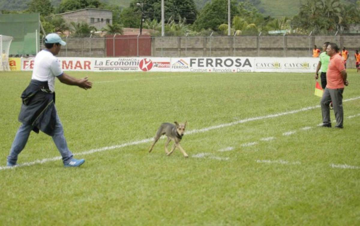 Curiosidades de la primera jornada de la Liga Nacional de Honduras