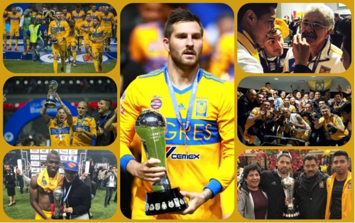 Celebración de Tigres tras ser campeón de la Liga Mx