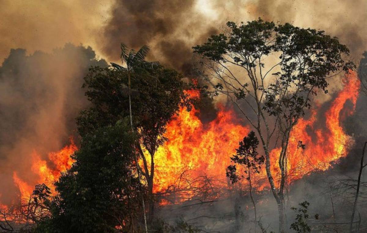 Las imágenes del terrible incendio que devora el Amazonas, el pulmón del mundo