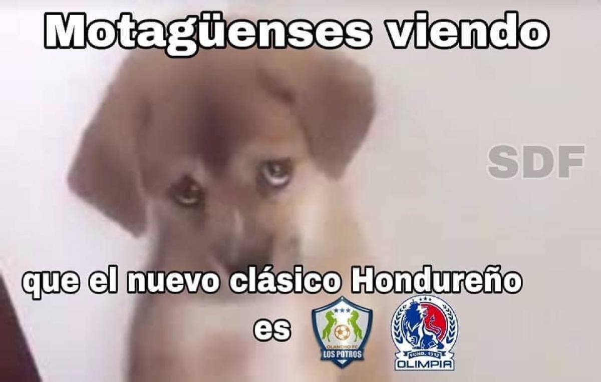”Arboleda, contigo empezó todo”: Los divertidos memes que dejó el título 36 de Olimpia en la Liga Nacional de Honduras